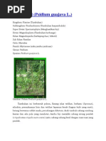 Download farbot by Wiewied Dwi Ariestiawati SN222800000 doc pdf