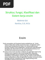 Download Struktur Fungsi Dan Klasifikasi Enzim by Nay Finanda SN222803667 doc pdf