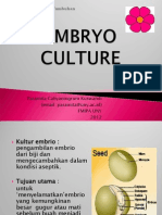 7. Kultur Embrio
