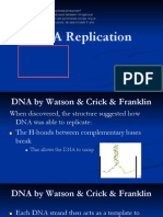 DNA Replication