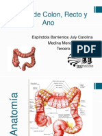 Cáncer de Colon, Recto y Ano