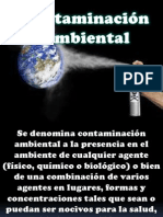 Contaminacion Ambiental