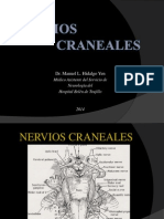 Nervios Craneales