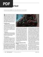 Download MRI of the Foot by OralBoards SN22282401 doc pdf