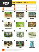 Imagiers - Volume 31