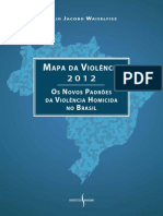 Padrões Da Violência Homicída