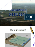 Lingkungan Fluvial