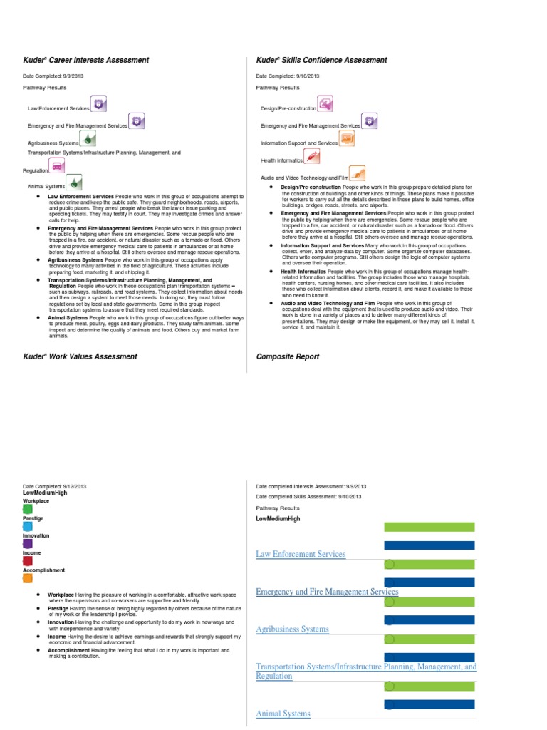 Career Assessment | PDF