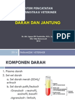 SPAV 6 Darah Dan Jantung