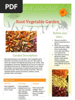 root vegetable garden