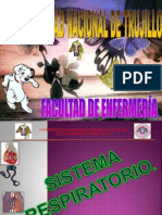 Sistema Respiratorio