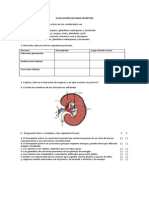 Evaluacion Excrecion