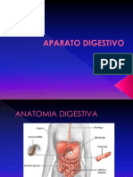 Aparato Digestivo - Anato - Fisiologia-Nutri