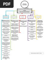 Principios Curriculares