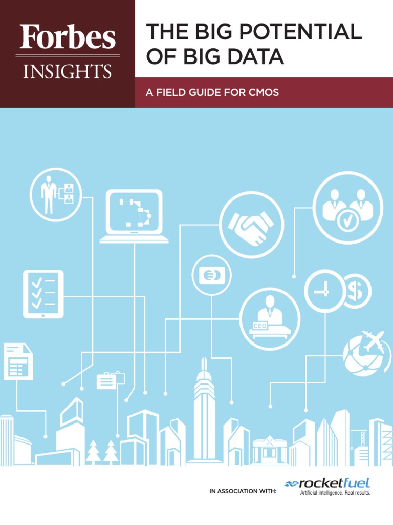 Rocketfuel Bigdata Report | PDF | Big Data | Advertising