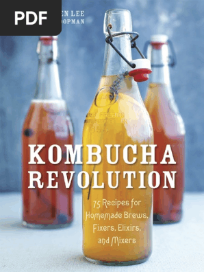 Kombucha Revolution by Stephen Lee - Master Plain Kombucha Recipe
