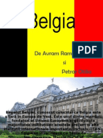 Belgia Prezentare