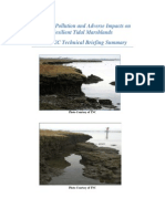 Nitrogen Pollution and Adverse Impacts On Resilient Tidal Marshlands