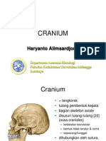 Cranium