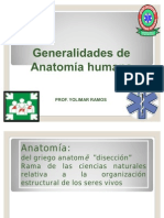 49154389 Posicion Anatomica Humana