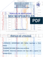 TEMA VI Inter Perfiles