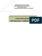 Contabilidad Y Administración: Figura Profesional