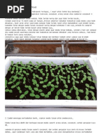 Download Bertanam Melon Sistem Fertigasi by Gading Datu SN223004589 doc pdf