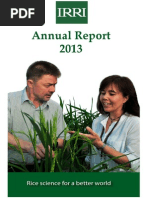 IRRI Annual Report 2013 