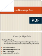 Hormon Neurohipofisa 29042014