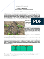 Formulación de La Fertilización Fosforada en El Maíz