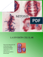 Mitosis y replicación del ADN