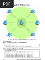 Lab 4: IXP Bi-Lateral Peering