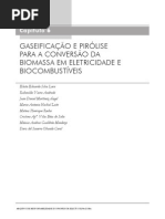 Biocombustiveis-Cap06