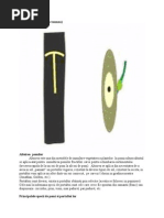 Altoirea pomilor fructiferi