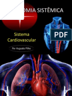 Sistema Cardiovascular