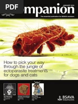 Companion January2012