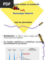 BIOTECNOLOGIA UFMA 3