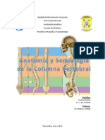 Columna Vertebral