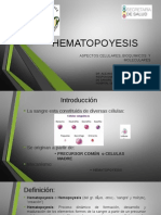 Hematopoyesis 25-04-14