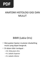 Materi anatomi fisiologi manusia