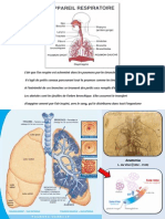 APARATO RESPIRATORIO (1).ppt