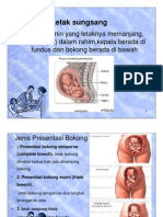 Power Point Letak Sungsang2011