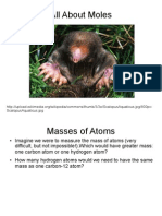 All About Moles: Scalopusaquaticus - JPG