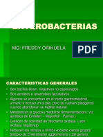 Enterobacterias Practica