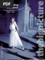 Download The Big Picture Magazine Issue 5 by Intellect Books SN22317074 doc pdf