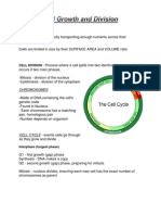 Cell Growth and Division Print