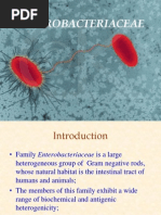 Download Ecoli by drbvramana SN223202693 doc pdf
