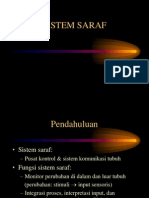 Neurosains FK UPN 260311