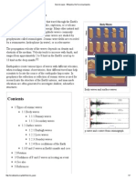 Seismic Wave