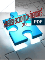 Analiza economico financiara 2 curs